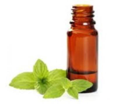 Poprova meta eterično olje (pepermint)