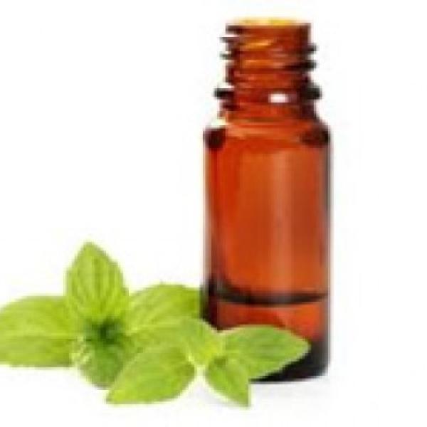 Poprova meta eterično olje (pepermint)
