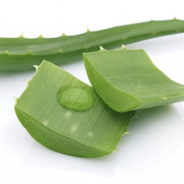 Aloe vera sok