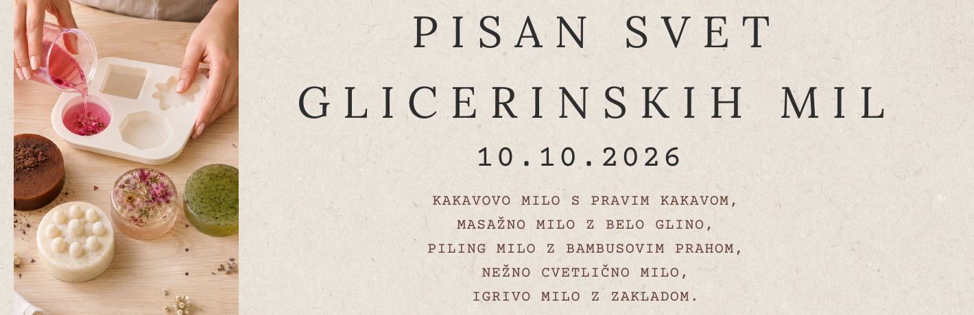 Delavnica 4
