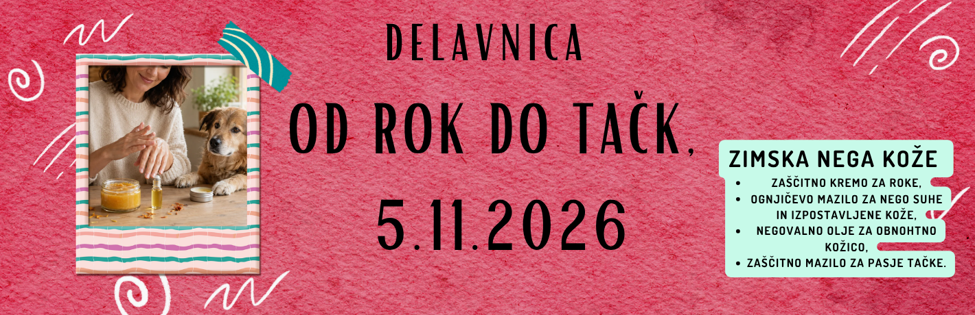 Delavnica 3