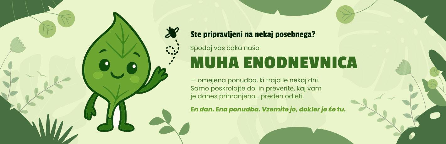 Muha enodnevnica